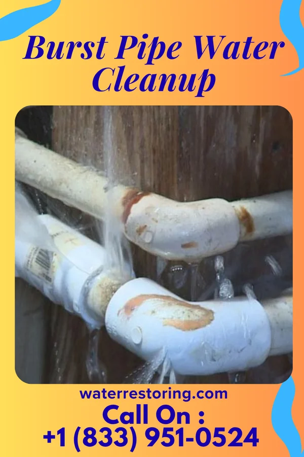 Burst Pipe Water Cleanup in Booneville, AR